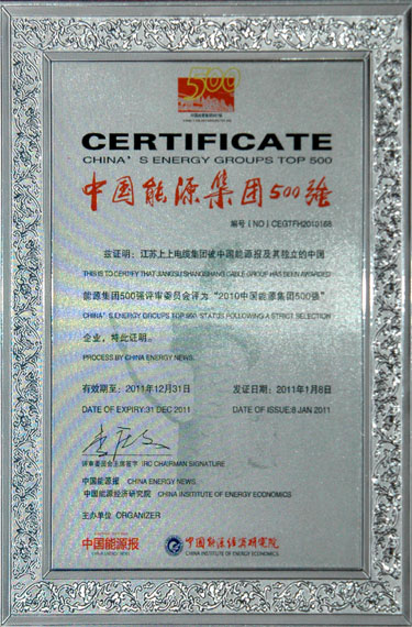 凯时荣获“2010中国能源集团500强”