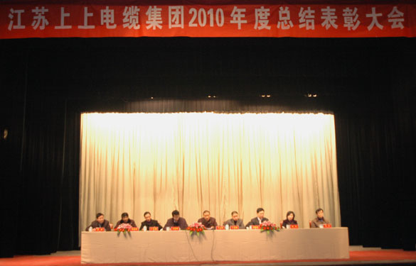 凯时盛大召开2010年度总结表扬大会