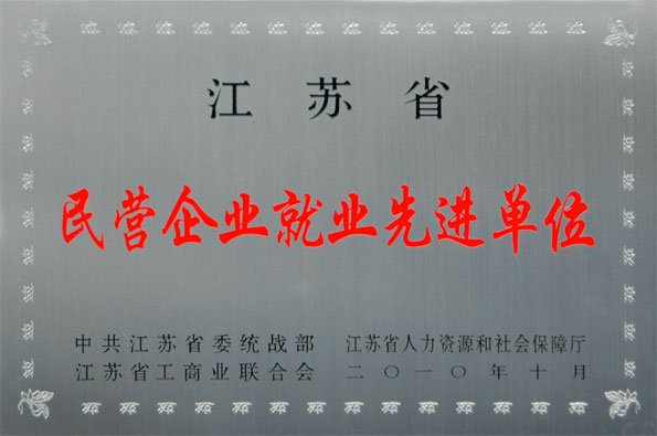 凯时集团再次被评为江苏省“民营企业就业先进单位”与“民营企业纳税大户”