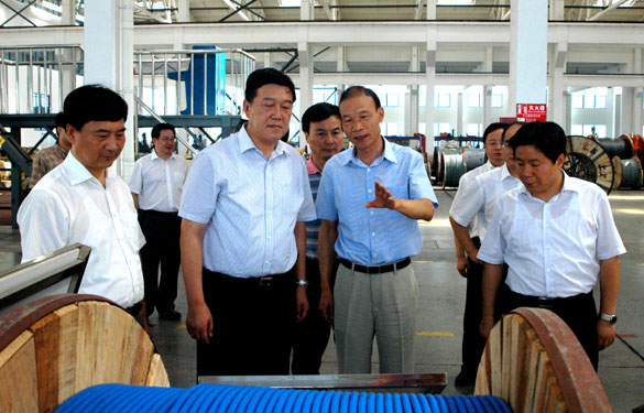 常州市代市长姚晓东一行来凯时集团视察
