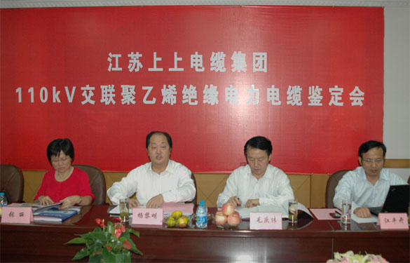 凯时额定电压110kV交联聚乙烯绝缘电力电缆产品通过判断