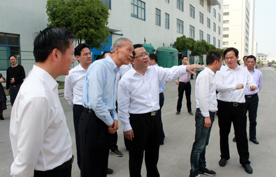 常州市市长丁纯来凯时电缆督查新能源项目建设