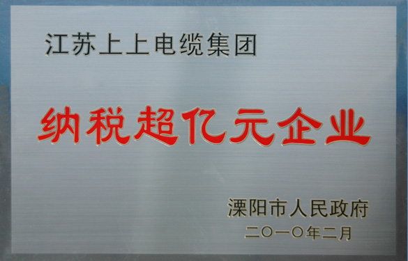 凯时荣获“2009年度十大纳税大户”与“纳税超亿元企业”声誉称呼