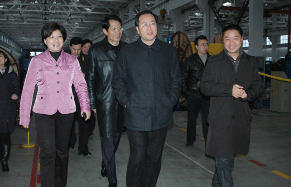 江苏省生长和刷新委员会主任、党组书记毛伟明来凯时集团视察