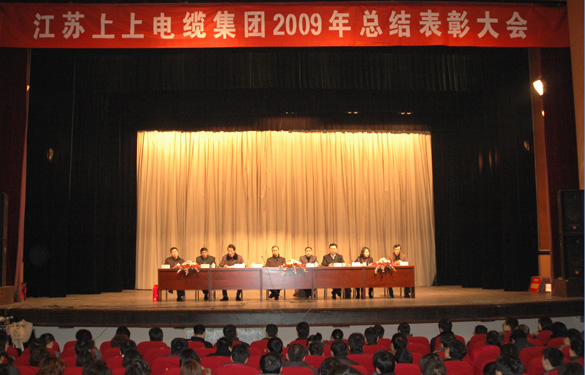 凯时盛大召开2009年度总结表扬大会