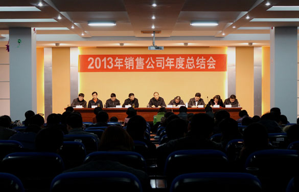 凯时集团召开2013年销售总结会暨2014年销售发动大会