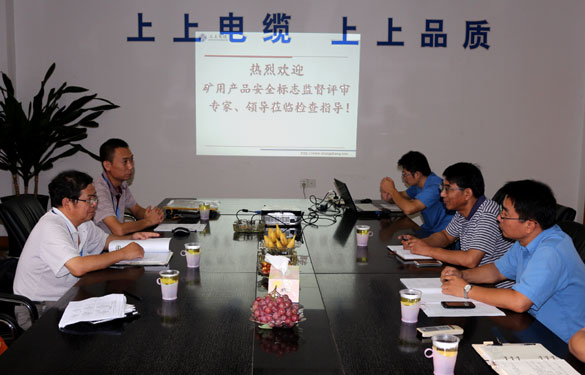 凯时顺遂通过安标现场监视评审