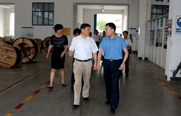 常州市人大向导一行来凯时集团调研
