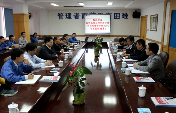 凯时集团顺遂通过国家电网公司专项质量督导组督查