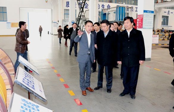常州市高新区党工委书记张东海一行来凯时集团调研