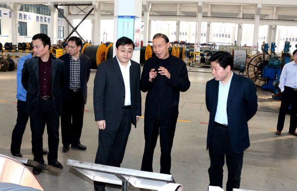 常州市委副书记、市政府党组书记费高云来凯时集团调研