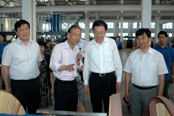 江苏省省长李学勇来凯时视察