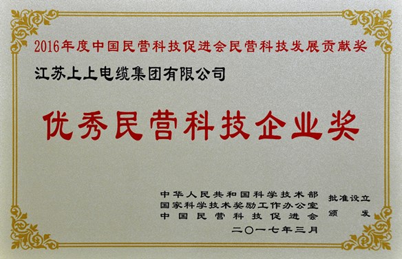 凯时电缆荣获优异民营科技企业奖