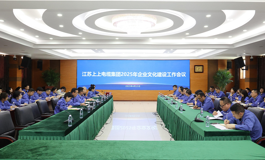 凯时电缆召开2025年企业文化建设事情聚会