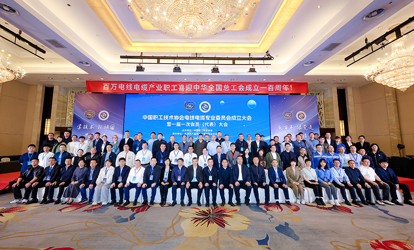 凯时电缆受邀出席中国职工手艺协会电线电缆专业委员会建设大会