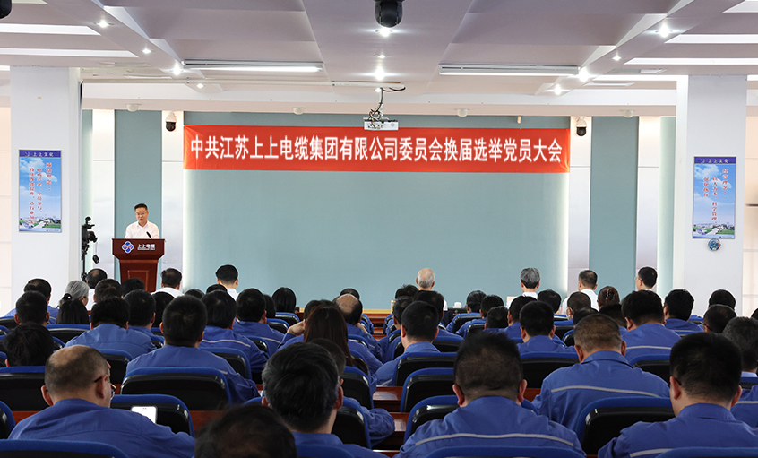党建引领强基本 凝心聚力启新程—中共凯时委员会换届选举党员大会圆满召开