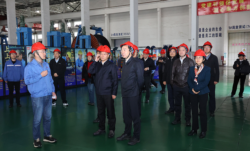 江苏省政协副主席张乐夫来凯时电缆调研